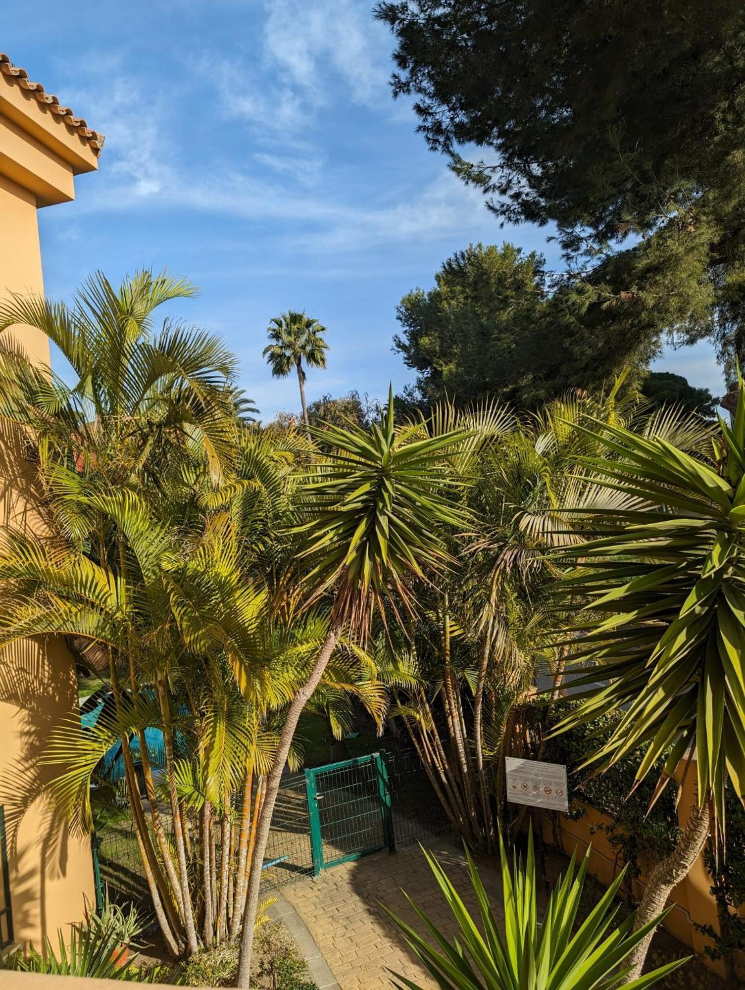 - Playa Alicate 2br Appartement